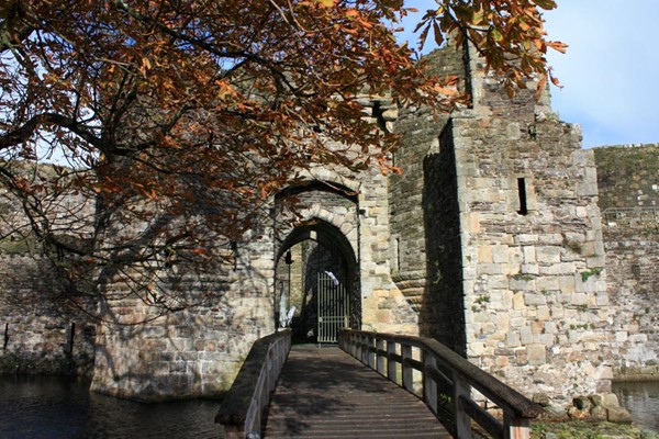 Bridge over the moat into the castle.