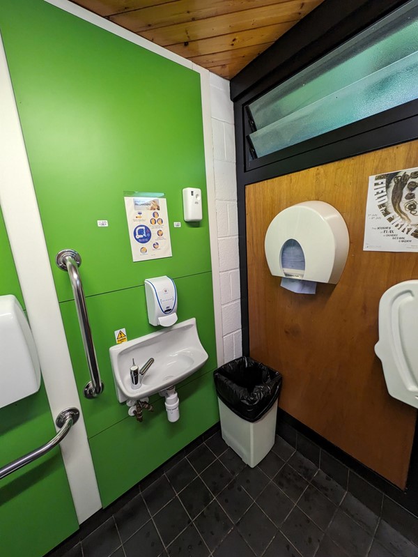 Image of a green wall with a sink and a paper towel dispenser