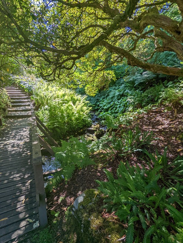 If you go beyond the wheelchair route they all end in steps.