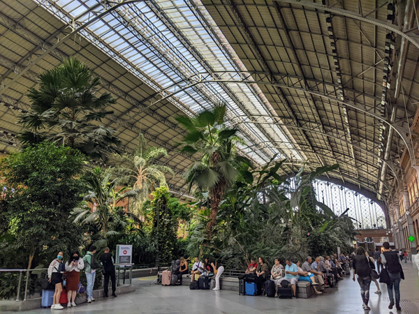 The tropical garden inside Madrid Railway Station (Puerta de Atocha). The north entrance is at the far end of this photo and special assistance is to the right of where I took this photo.