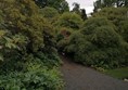 Image of a path through a garden