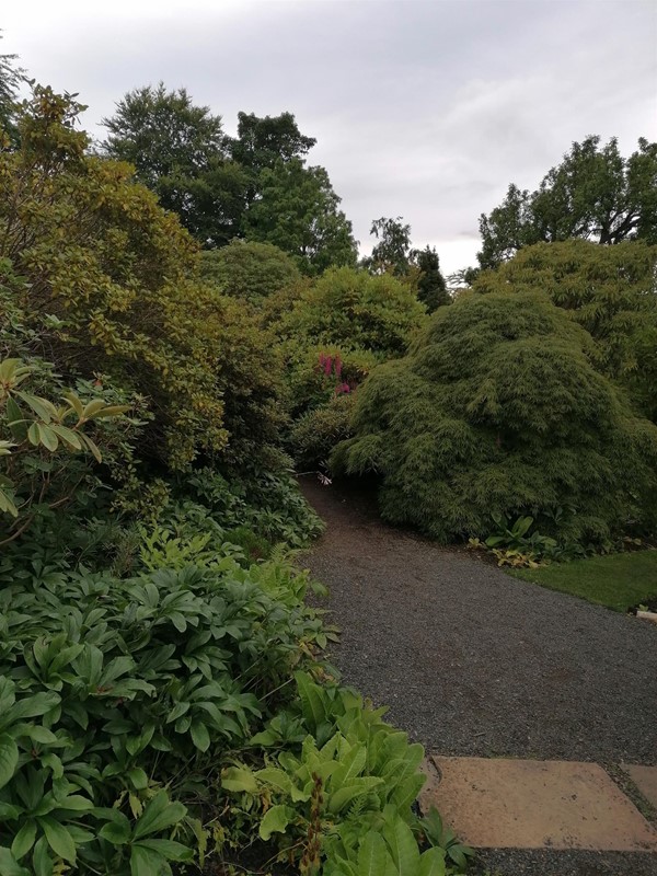 Image of a path through a garden