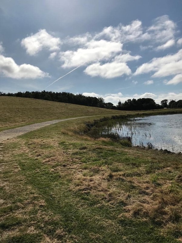 Picture of Northumberlandia