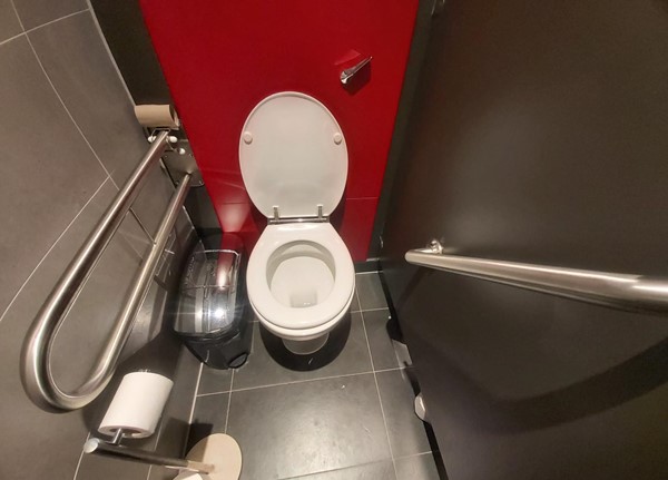 Image of the accessible toilet.