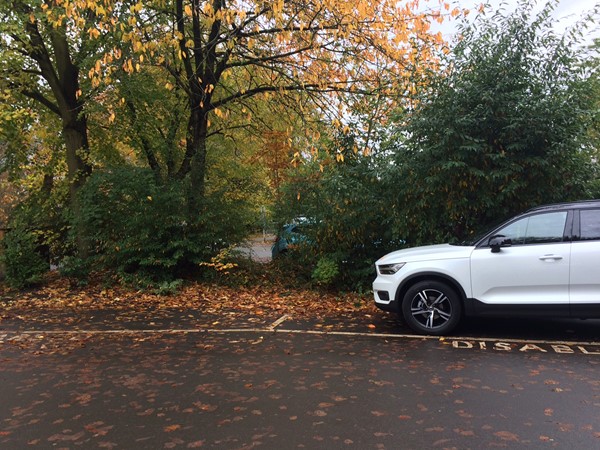 the two marked disabled parking bays in the car park