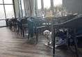 Image of a dog under a table