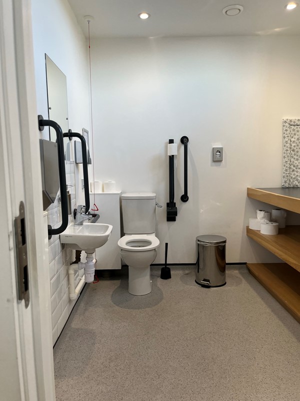 Accessible toilet