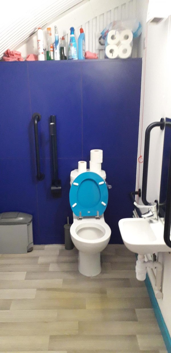 Accessible toilet