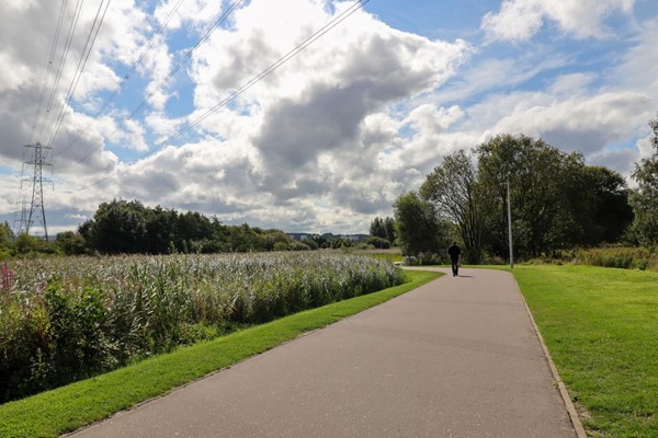 Good quality flat wide path through the wetland area of Helix Park.