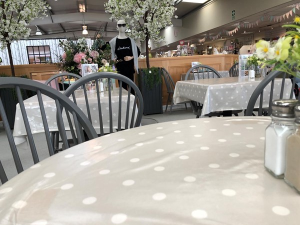 Picture of Inverurie Garden Centre