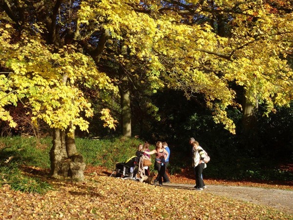 Picture of Cahtsworth House - Disabled Visitors