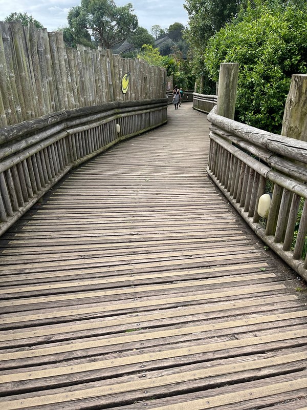 Image of a wooden walkway