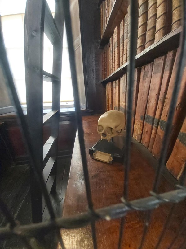 Image of a skull on a table