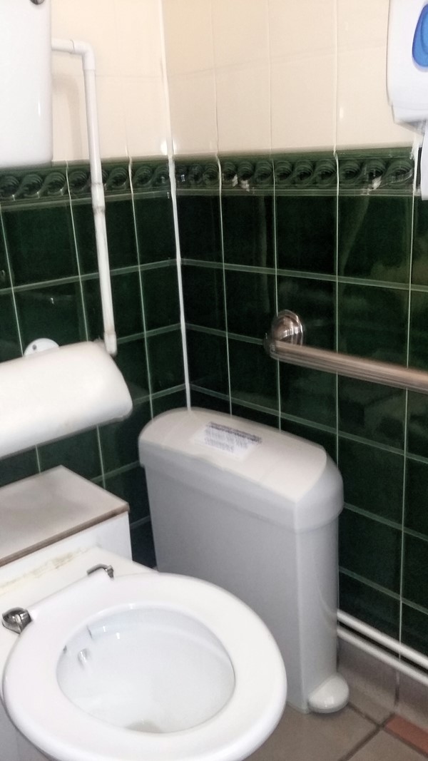 Disabled toilet