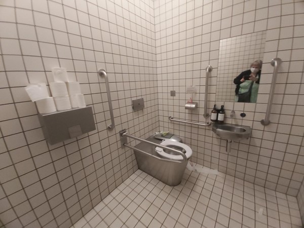 Image of a toilet