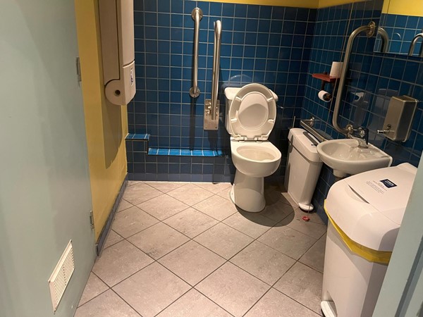 Image of the accessible toilet.