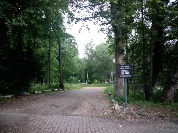 Picture of The Kinema in the Woods