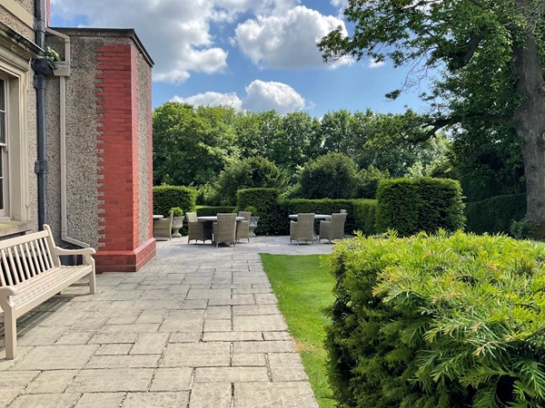 Image of a patio with chairs and trees