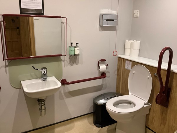 Accessible toilet