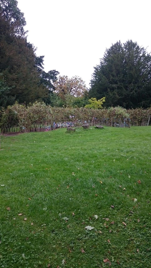 Willow tunnel 