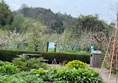 Priorwood Garden and the view across the vegetables toward the apple orchard in the distance