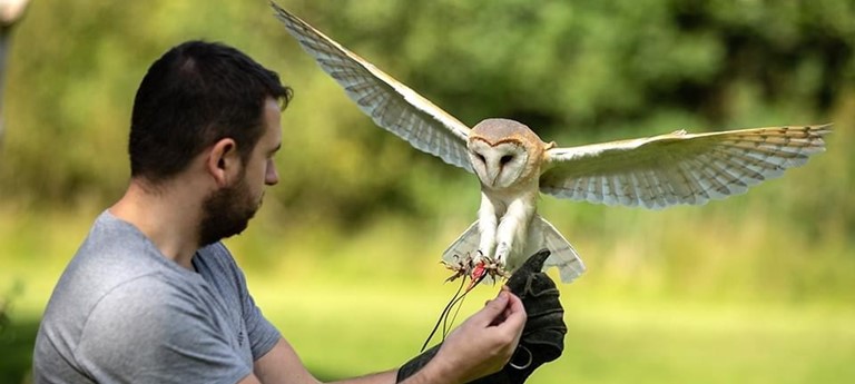 World of Wings Birds of Prey Centre