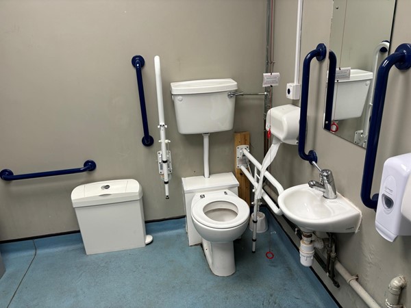 Inside standard accessible toilets