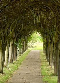 St Mary's Pleasance Garden