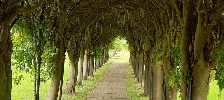 St Mary's Pleasance Garden