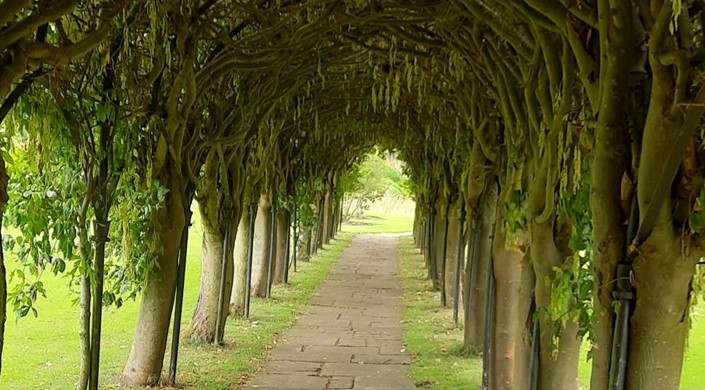 St Mary's Pleasance Garden