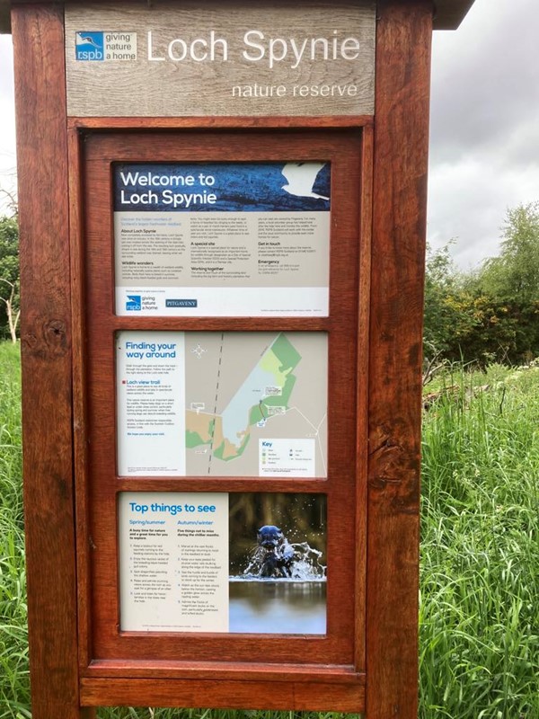 Image of RSPB Reserve Loch Spynie