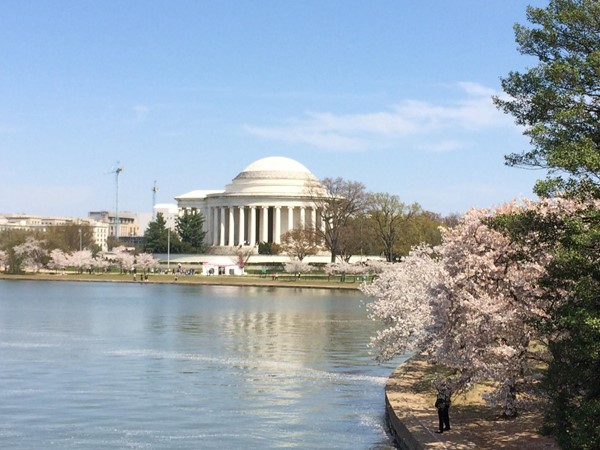 Thomas Jefferson Memorial