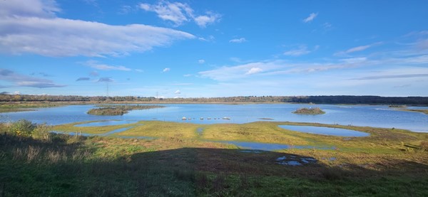 RSPB Old Moor