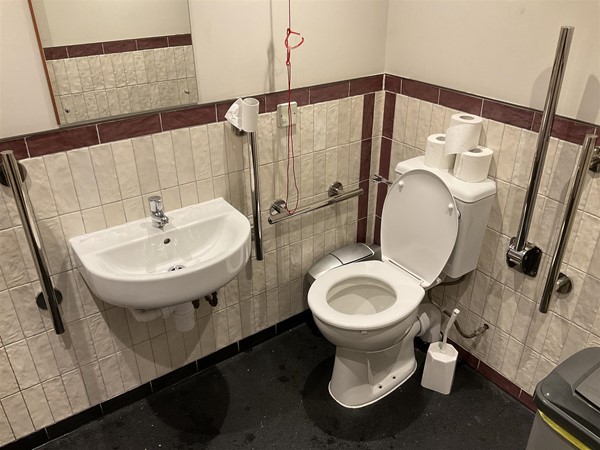 Image of a bathroom with a sink and toilet