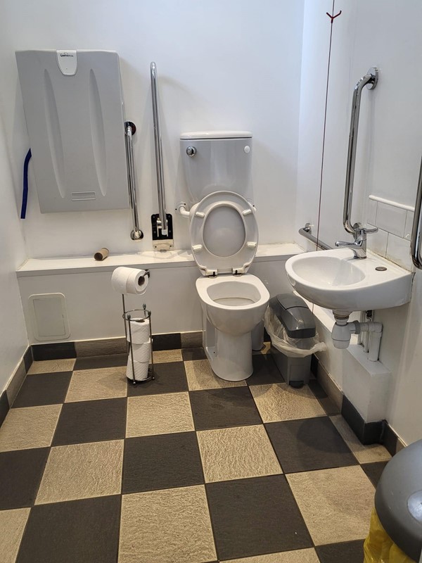 Image of the inside of the disabled toilets.