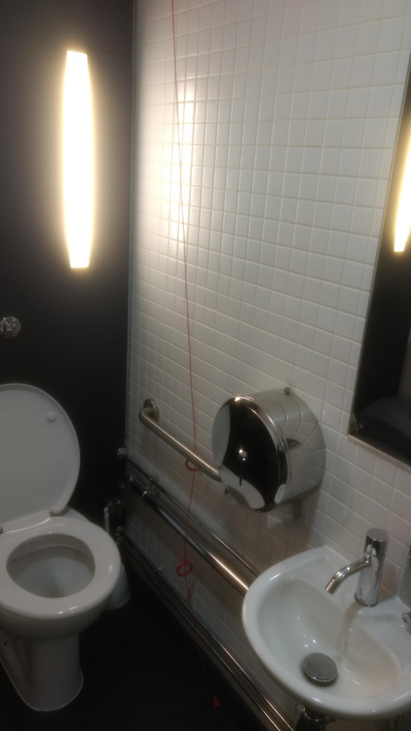 Accessible Toilet