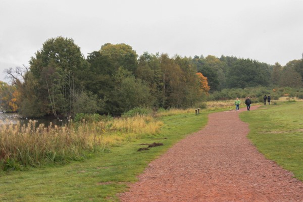 Lovely wide flat path on the other side of the lake. The surface is compressed gravel but it has a topping of something soft.