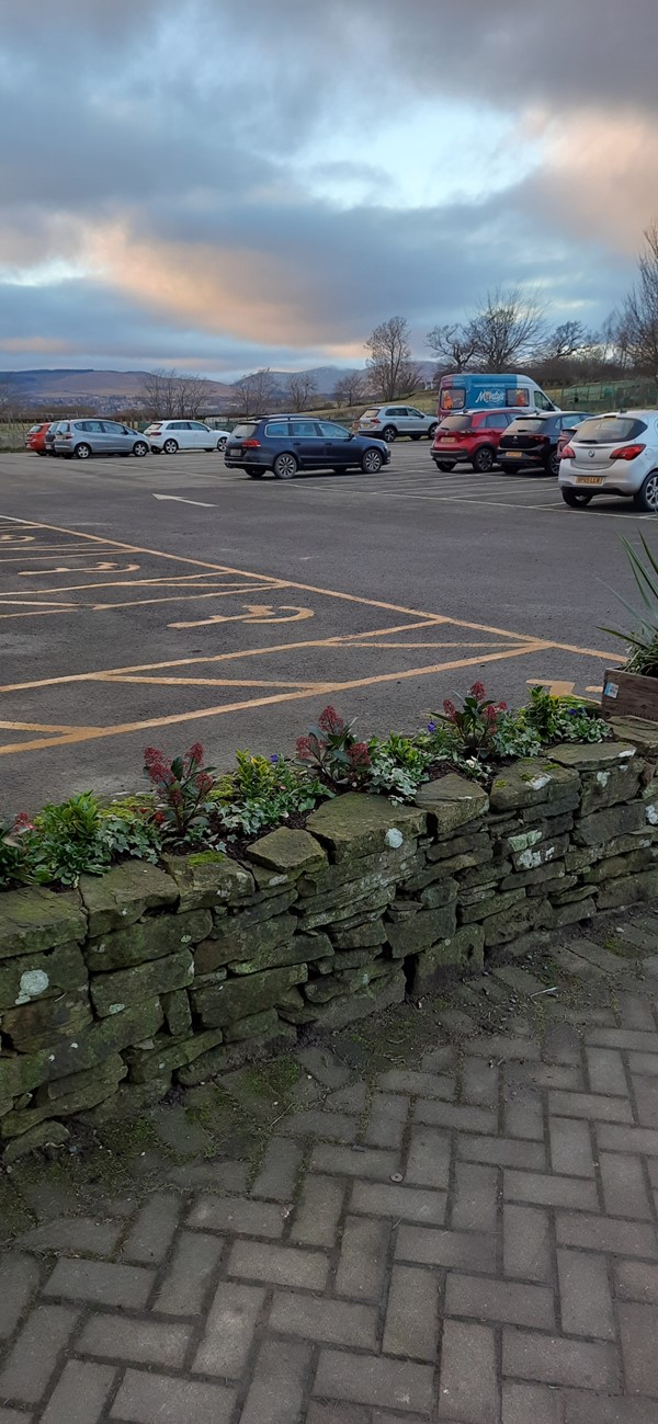 Picture of disabled parking spaces