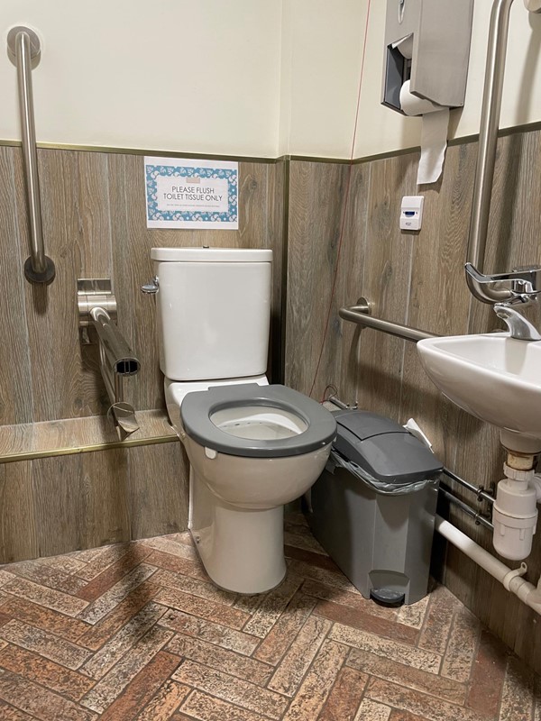 Image of an accessible toilet and a sink.