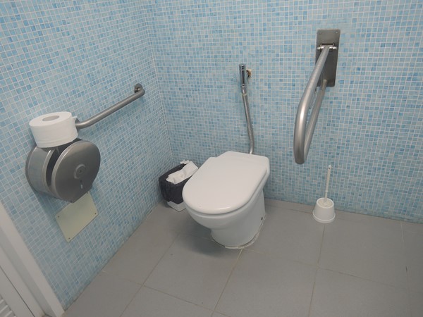 Accessible Toilet