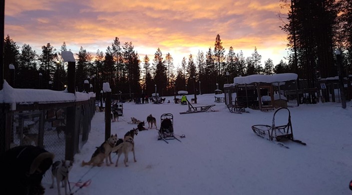 Torassieppi Reindeer Farm and Cottages