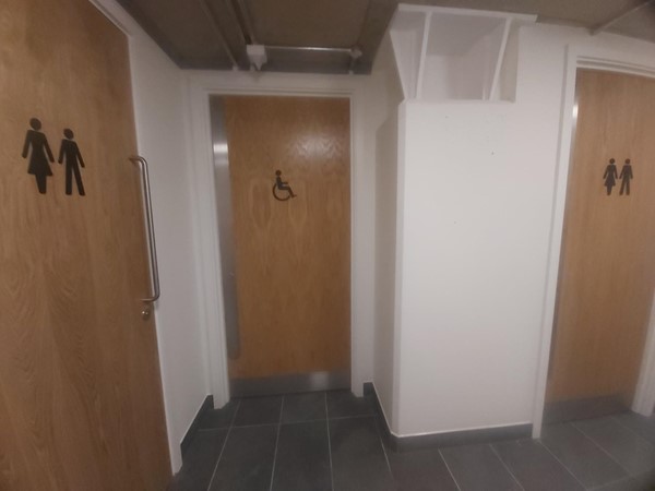 Toilet doors
