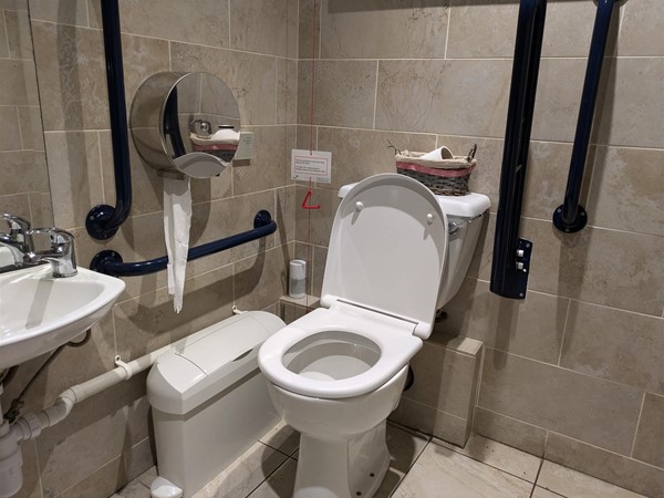 Image of the accessible toilet showing the toilet and sink with grab rails on either side.