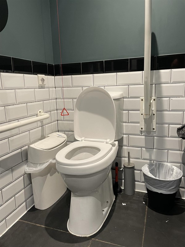 Image of an accessible toilet with a red cord