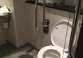 Toilet was fine- grab rails and pull cord