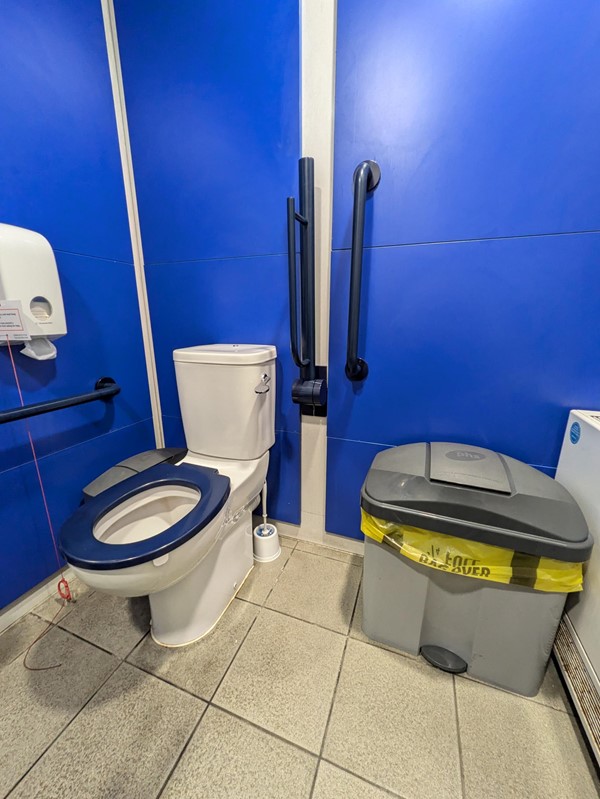 Image of accessible toilet with contrasting wall