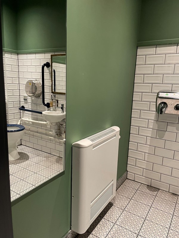 Picture of an accessible toilet