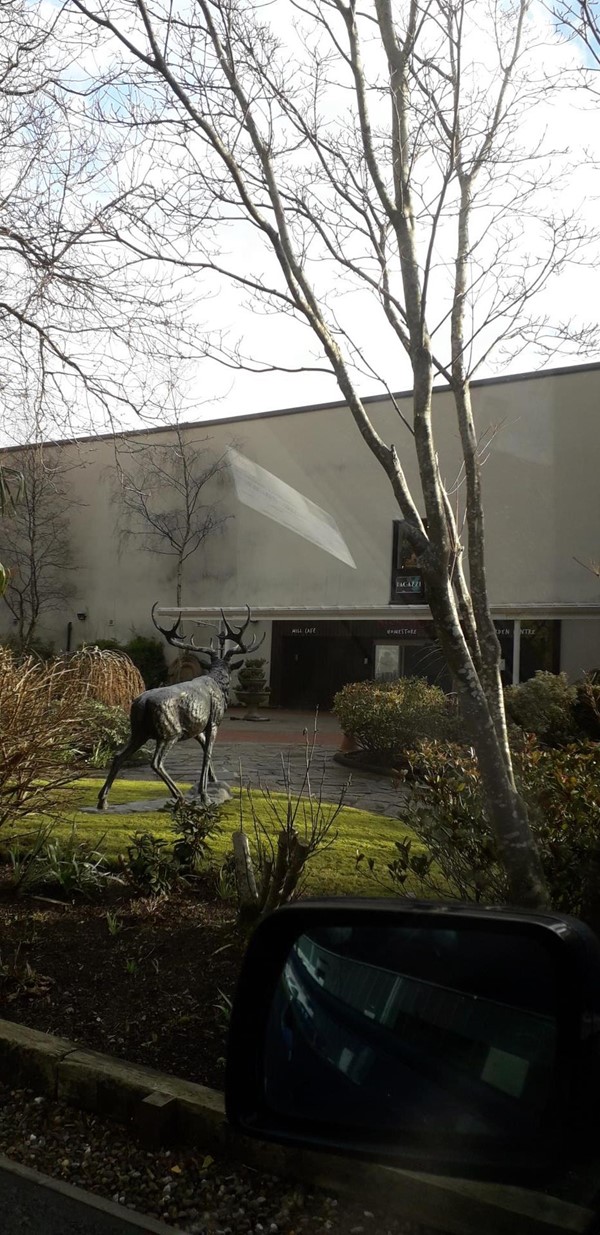 Entrance from the rear carpark