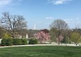 Arlington National Cemetery