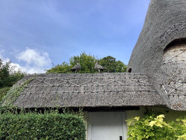 Thatched roof